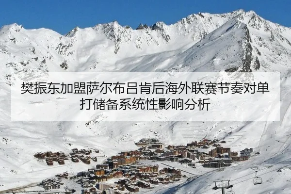 樊振东加盟萨尔布吕肯后海外联赛节奏对单打储备系统性影响分析