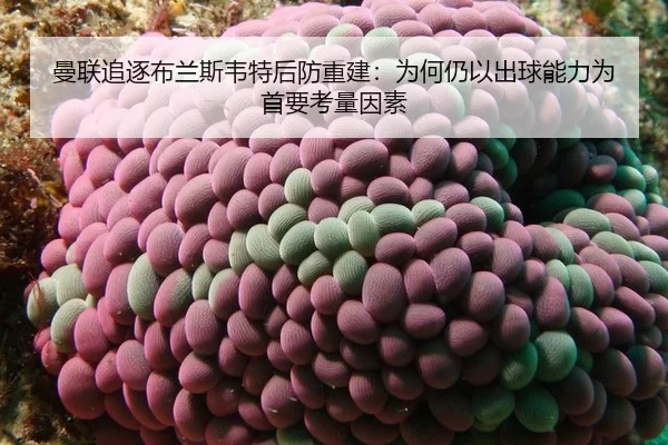 man-lian-zhui-zhu-bu-lan-si-wei-te-hou-fang-chong-jian-wei-he-reng-yi-chu-qiu-neng-li-wei-shou-yao-kao-liang-yin-su-2-683.jpg